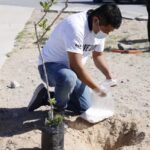 Inician Estado y Asociación Fondo Unido Chihuahua programa de reforestación y rescate de espacios públicos en Juárez