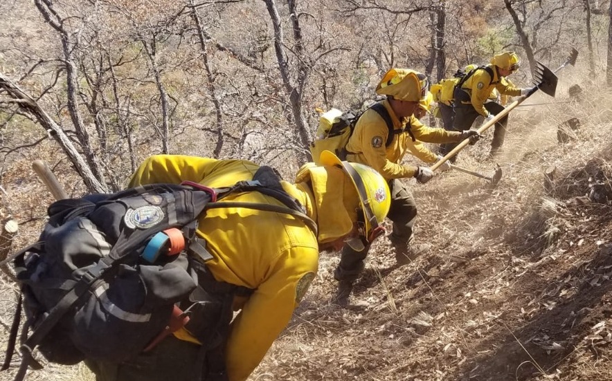 Realizan exitosa labor brigadistas y personal especializado de combate contra incendios forestales en el estado
