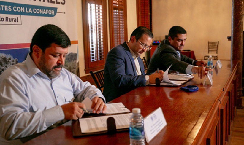 Trabaja Gobierno Municipal en conjunto con el Gobierno Federal y ejidatarios para preservar mantos acuíferos